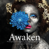 Meine AWAKEN-Serie veröffentlicht im Scorpio Jin Magazine